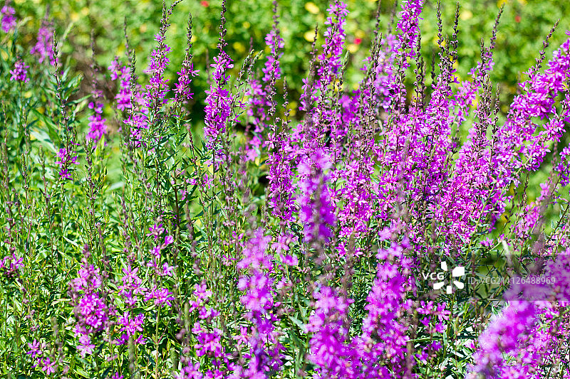 09.59.50.jpg图片素材