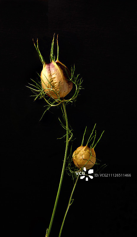 我们在一起图片素材