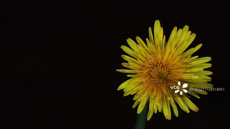 危地马拉克萨尔特南戈图片素材