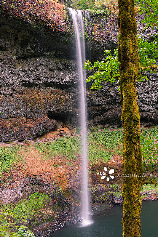 俄勒冈州银瀑州立公园的南瀑布图片素材