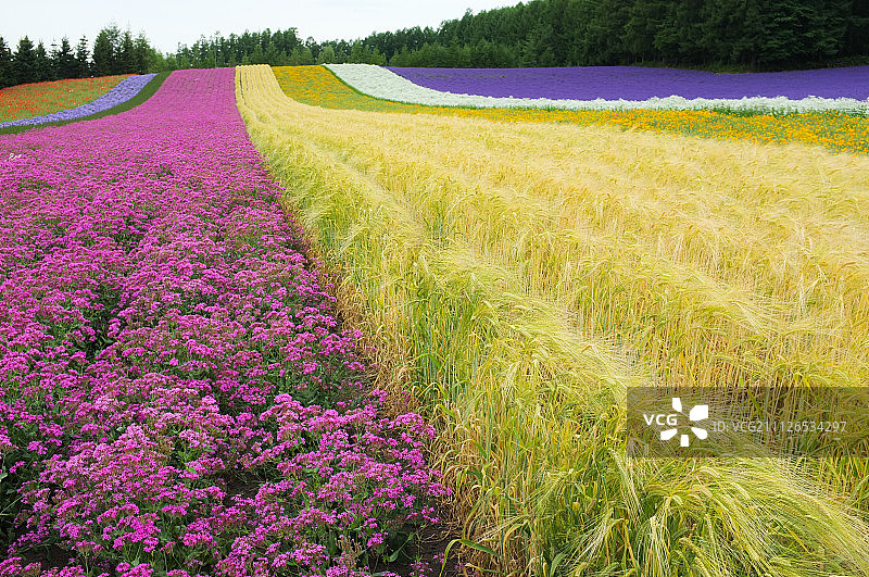 DSCF0097.jpg图片素材