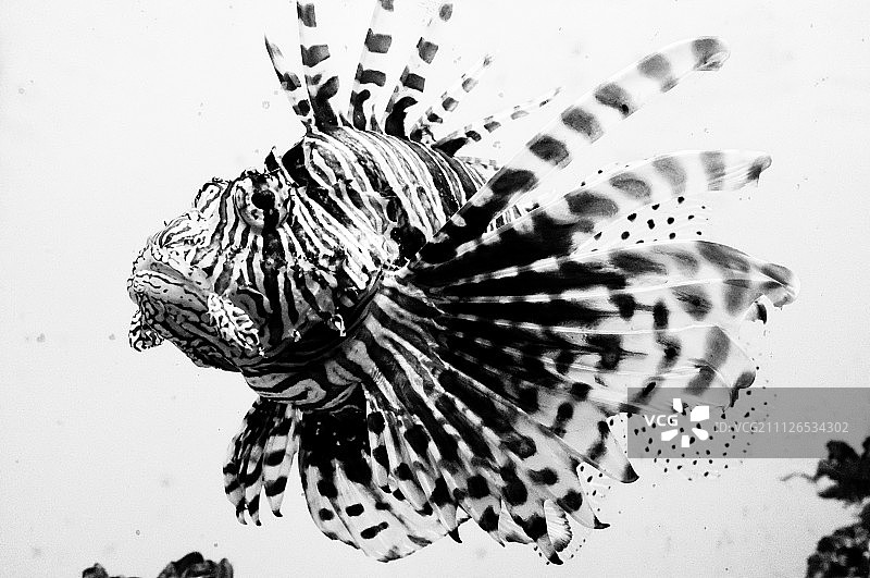 DSCF0052.jpg图片素材