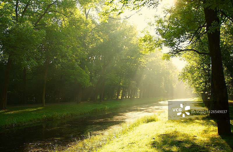 晨雾中漫步图片素材