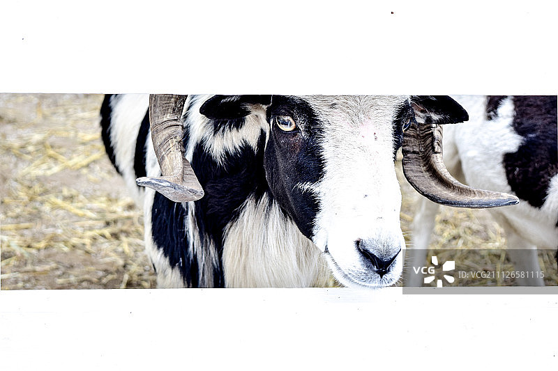 无标题的图片素材