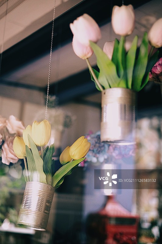 照片下午图片素材