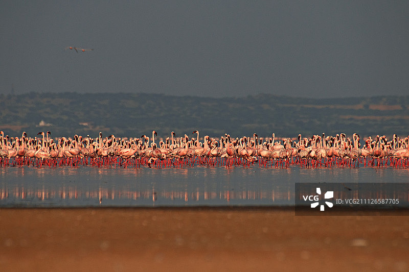 简约自然#4图片素材