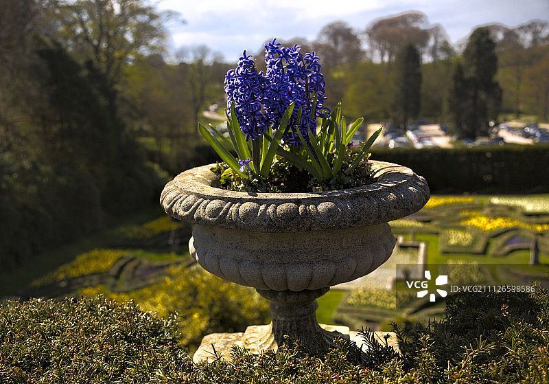 500像素照片：英国莱姆公园图片素材
