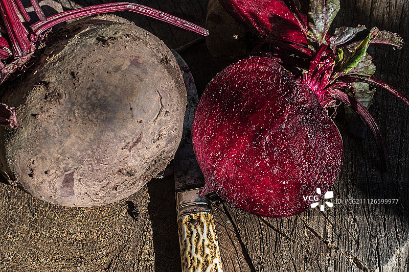 甜菜根(3)图片素材