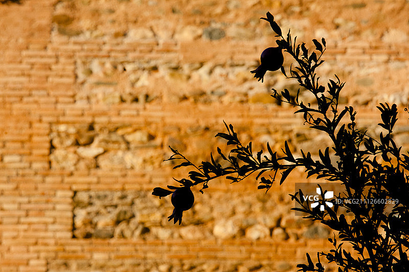 格拉纳达图片素材