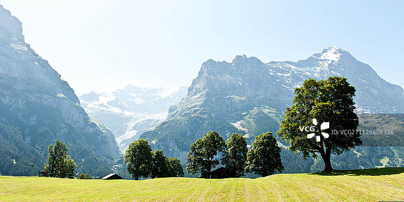 从格林德瓦观看艾格峰图片素材