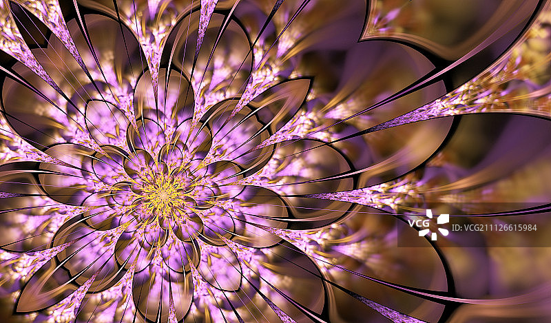 花朵状彩色对称分形图案图片素材