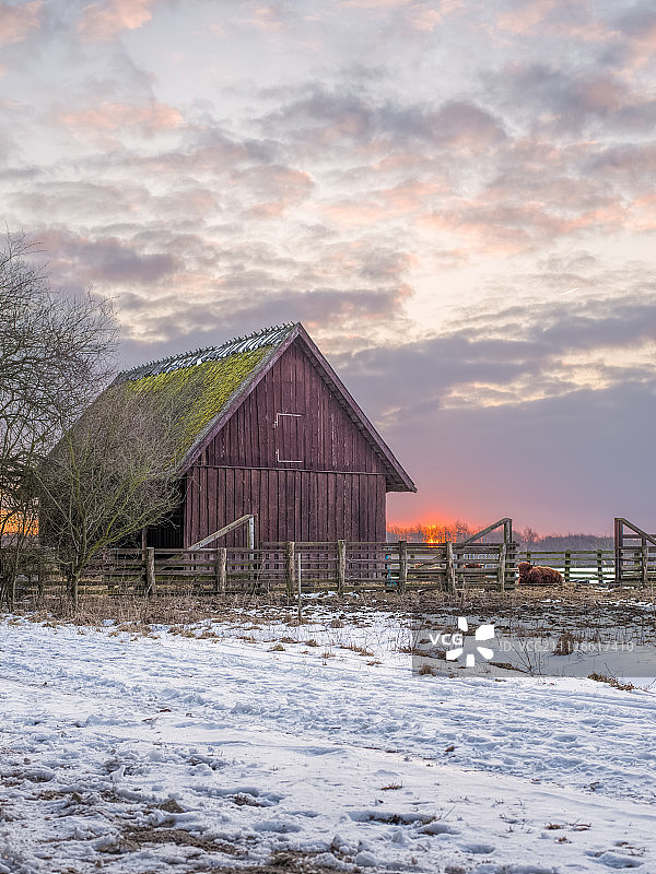 日出时的动物收容所图片素材
