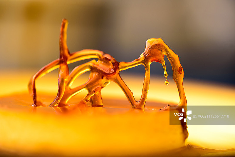 焦糖法式布丁图片素材