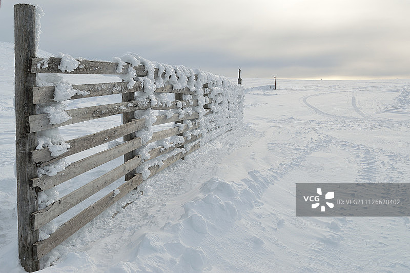 雪白的栅栏图片素材