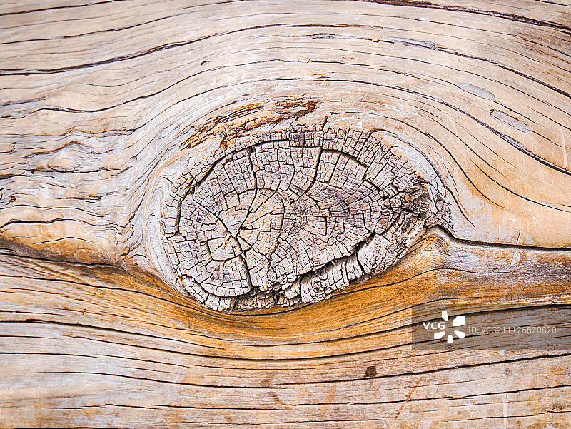 后备箱背景图片素材