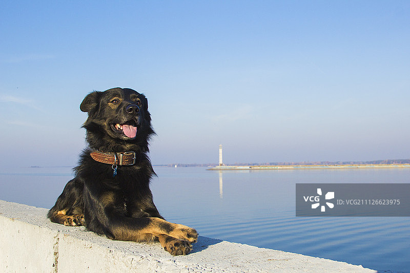 IMG_1367.jpg图片素材