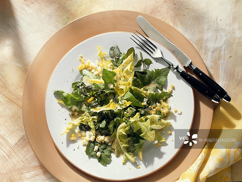 蒲公英西洋菜沙拉图片素材