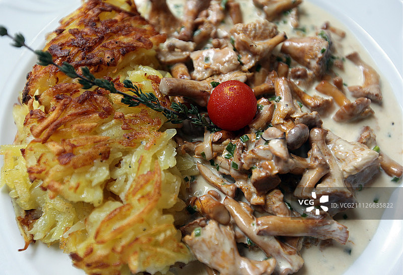 欧洲德国黑森林图片素材