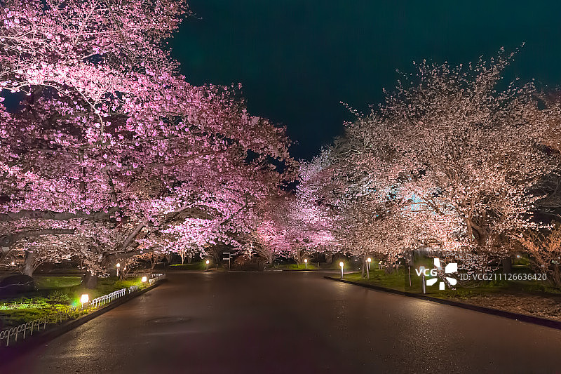 日本京都上京区图片素材
