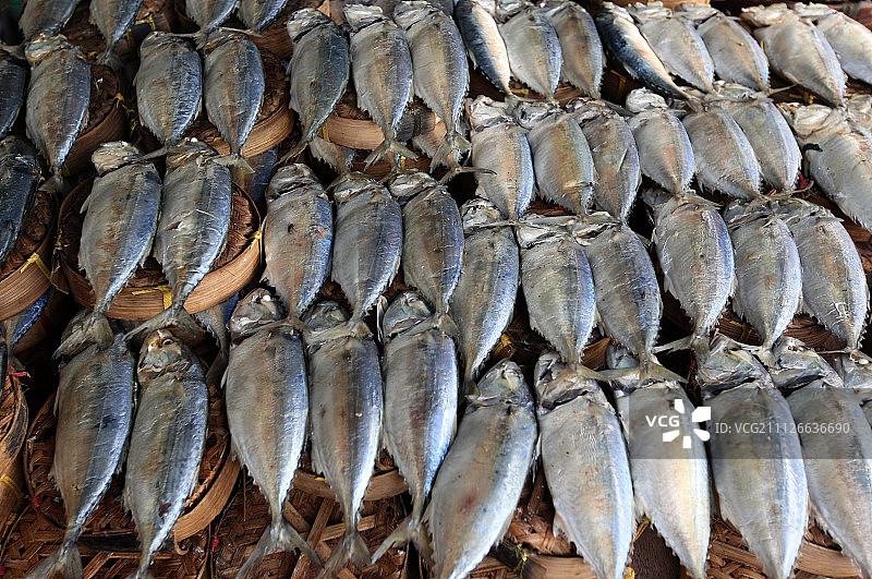 亚洲泰国曼谷风光图片素材