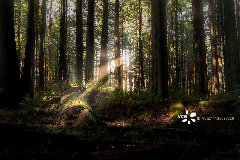 巨人大道图片素材