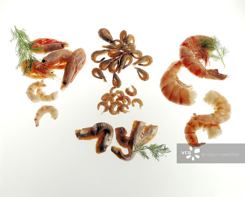 虾仁、海螯虾和鱼片图片素材