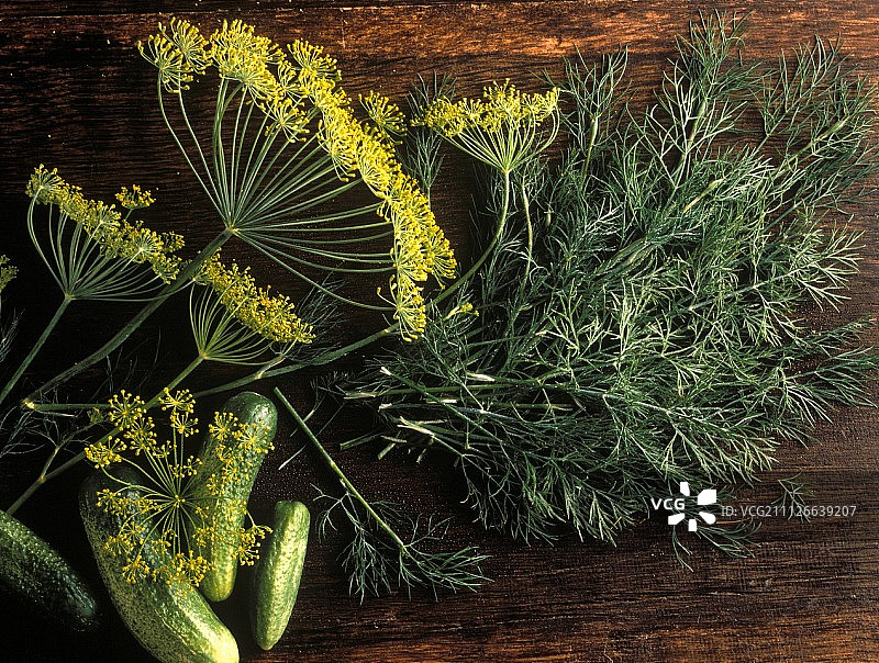 自制腌菜配料图片素材