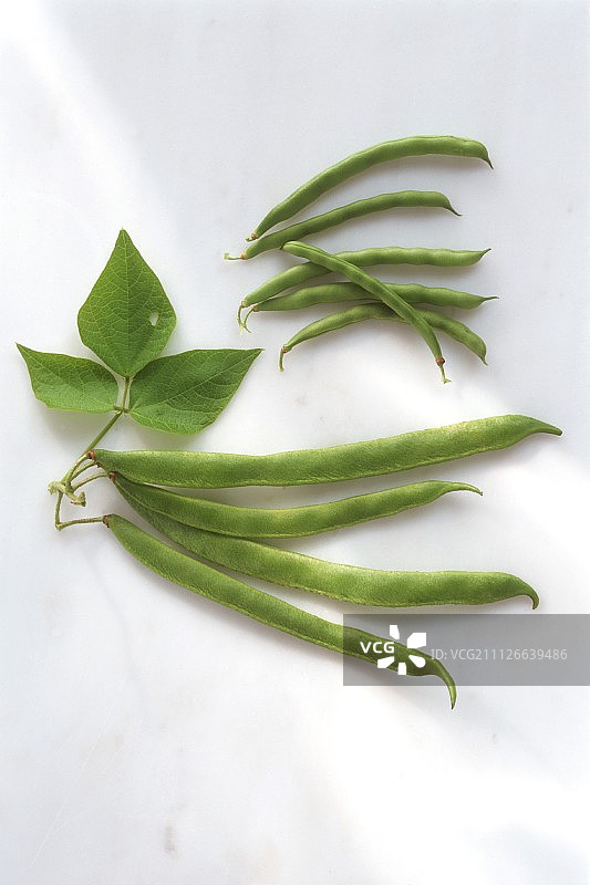 法国菜豆和芸豆图片素材