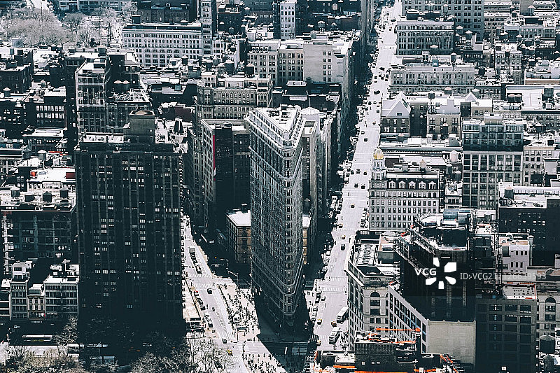 我只是一只小鸟图片素材