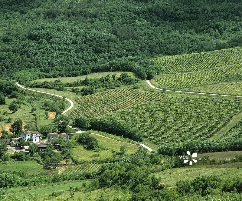 克罗地亚伊斯特拉半岛莫托温附近葡萄园风光图片素材