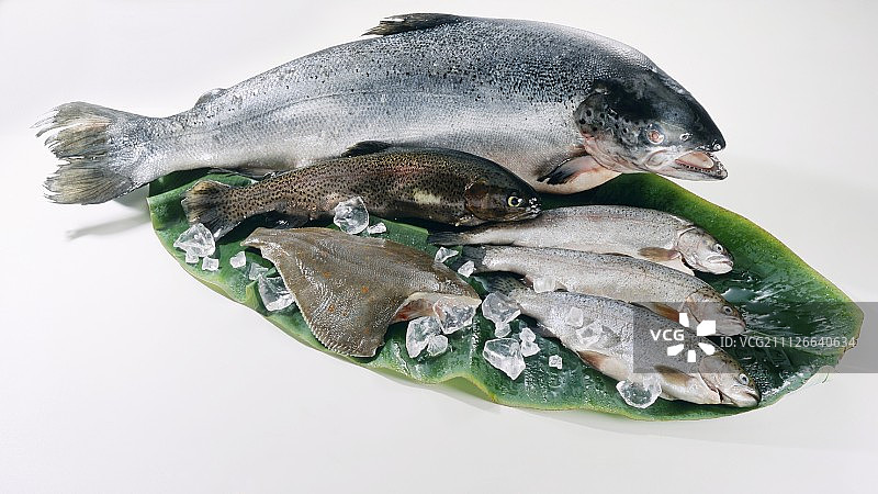 香蕉叶上的什锦鱼静物图片素材