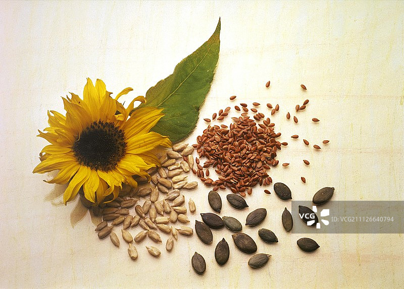 向日葵什锦种子图片素材
