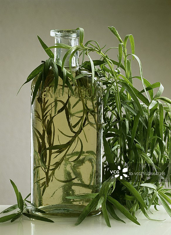 龙蒿醋瓶和新鲜龙蒿图片素材