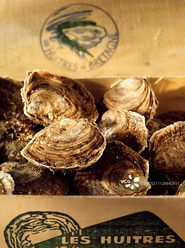 木盒中的生蚝图片素材