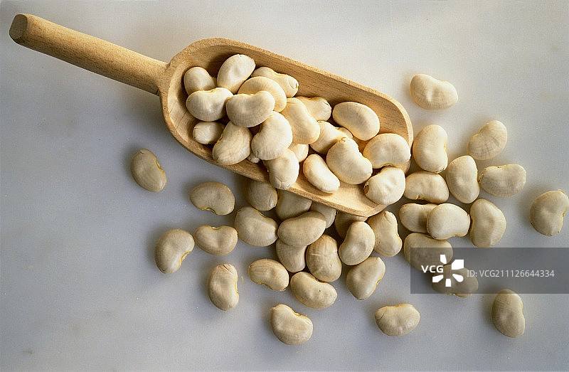 木制勺子里的白豆图片素材