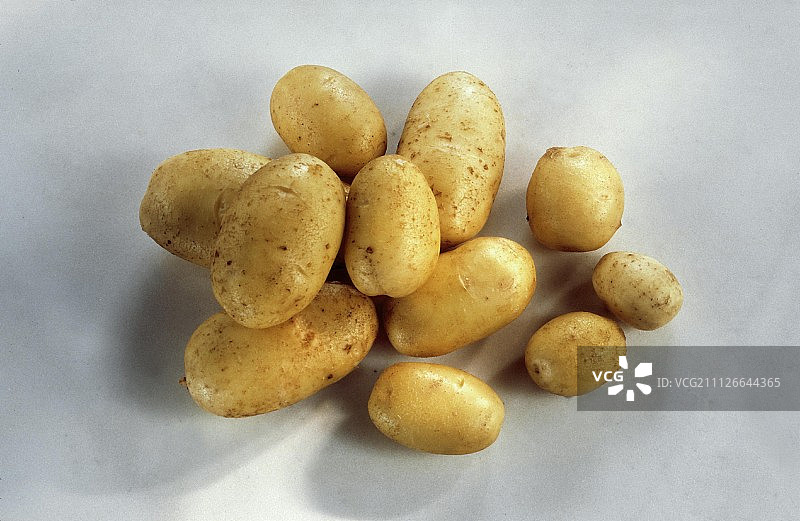 新鲜洗净的土豆图片素材