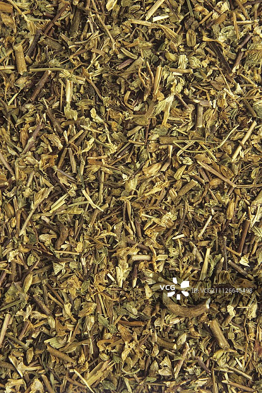 干燥的小米草图片素材