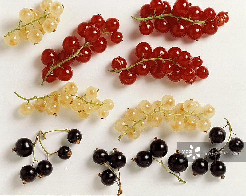 红色、黑色和白色醋栗图片素材