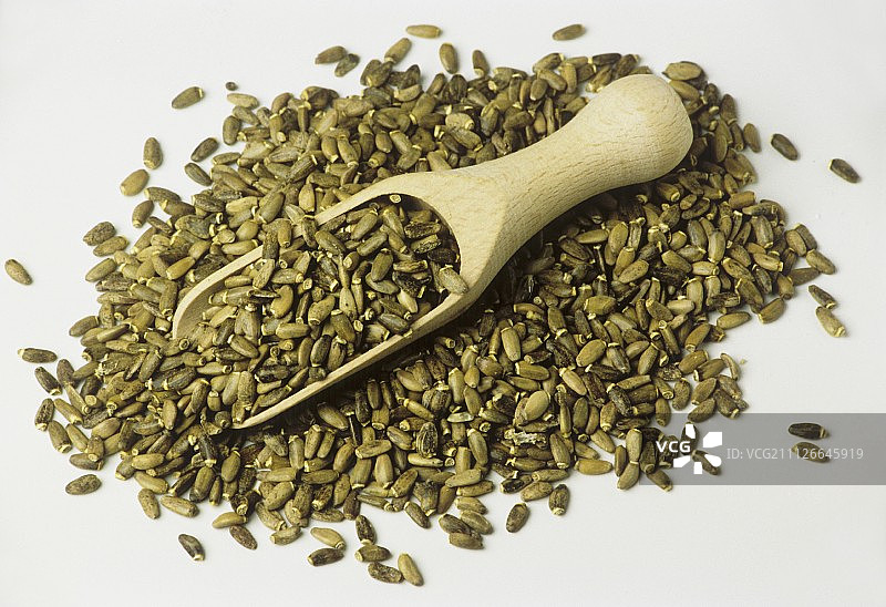 木勺上的奶蓟种子，白色背景图片素材