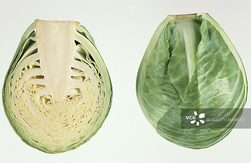 半个白色卷心菜图片素材