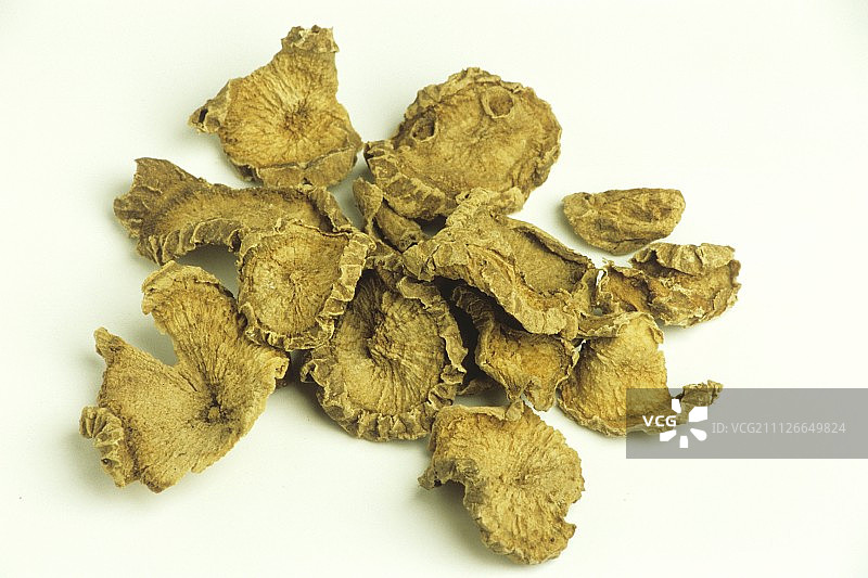 穗花贝母根干图片素材