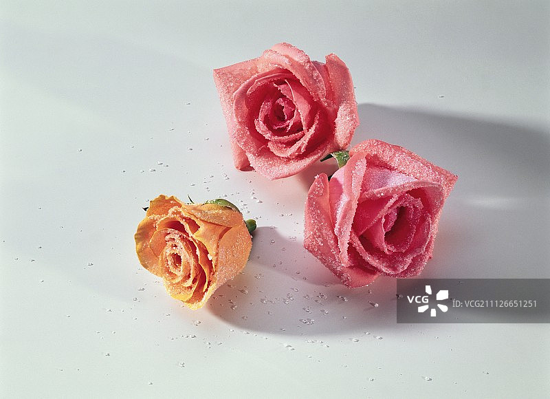 三个糖渍玫瑰花瓣作为蛋糕装饰图片素材