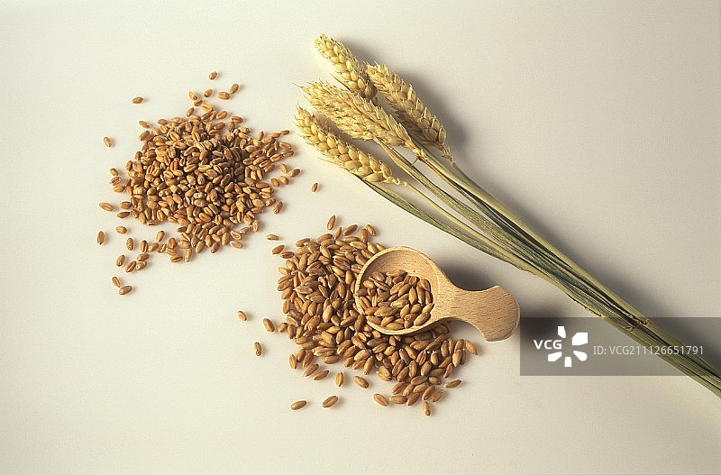 麦穗和一小勺谷物图片素材