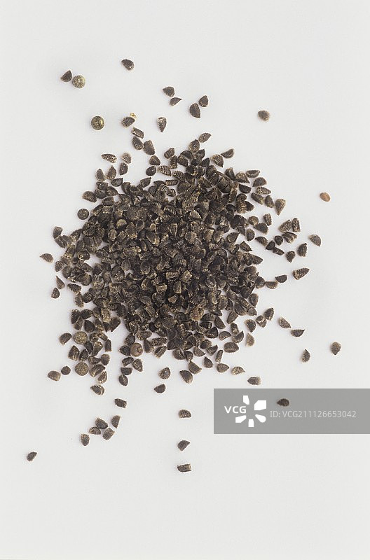 翠雀花种子图片素材