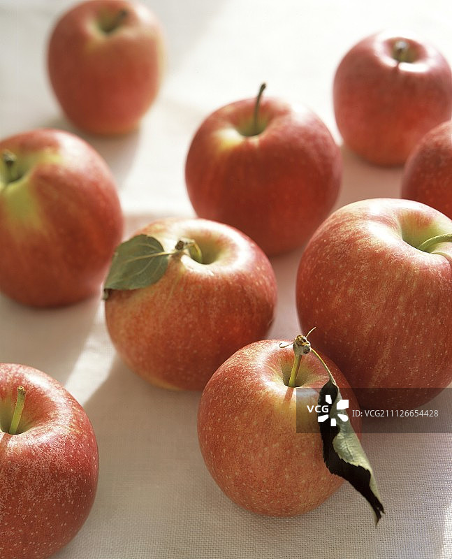 Gala苹果图片素材