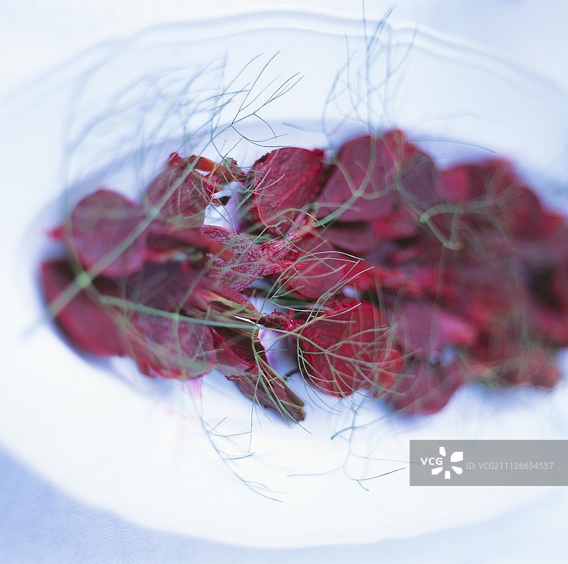 莳萝甜菜根图片素材