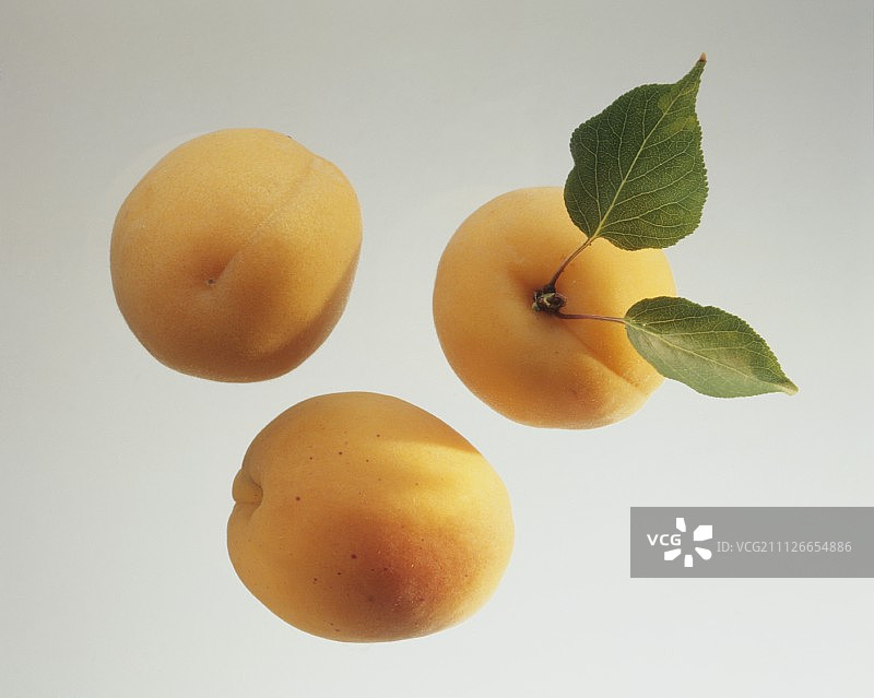 三个杏子，其中一个带叶子图片素材