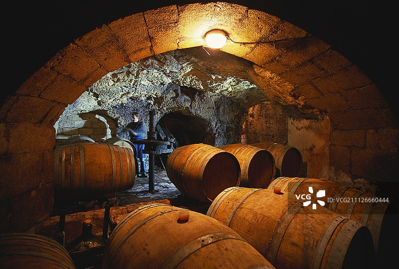 Domaine des Roches Neuves酒窖，索米尔-香槟图片素材