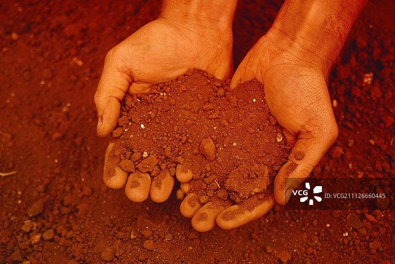 红色土地，澳大利亚库纳瓦拉云霄酒庄图片素材