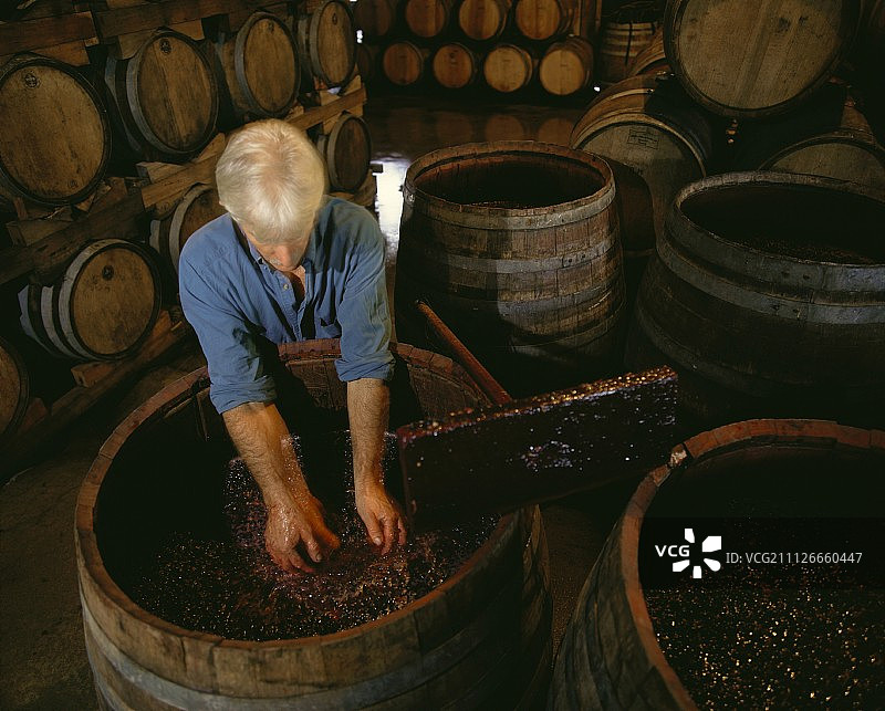 酿酒师约翰·雷诺兹搅拌酒糟，澳大利亚图片素材